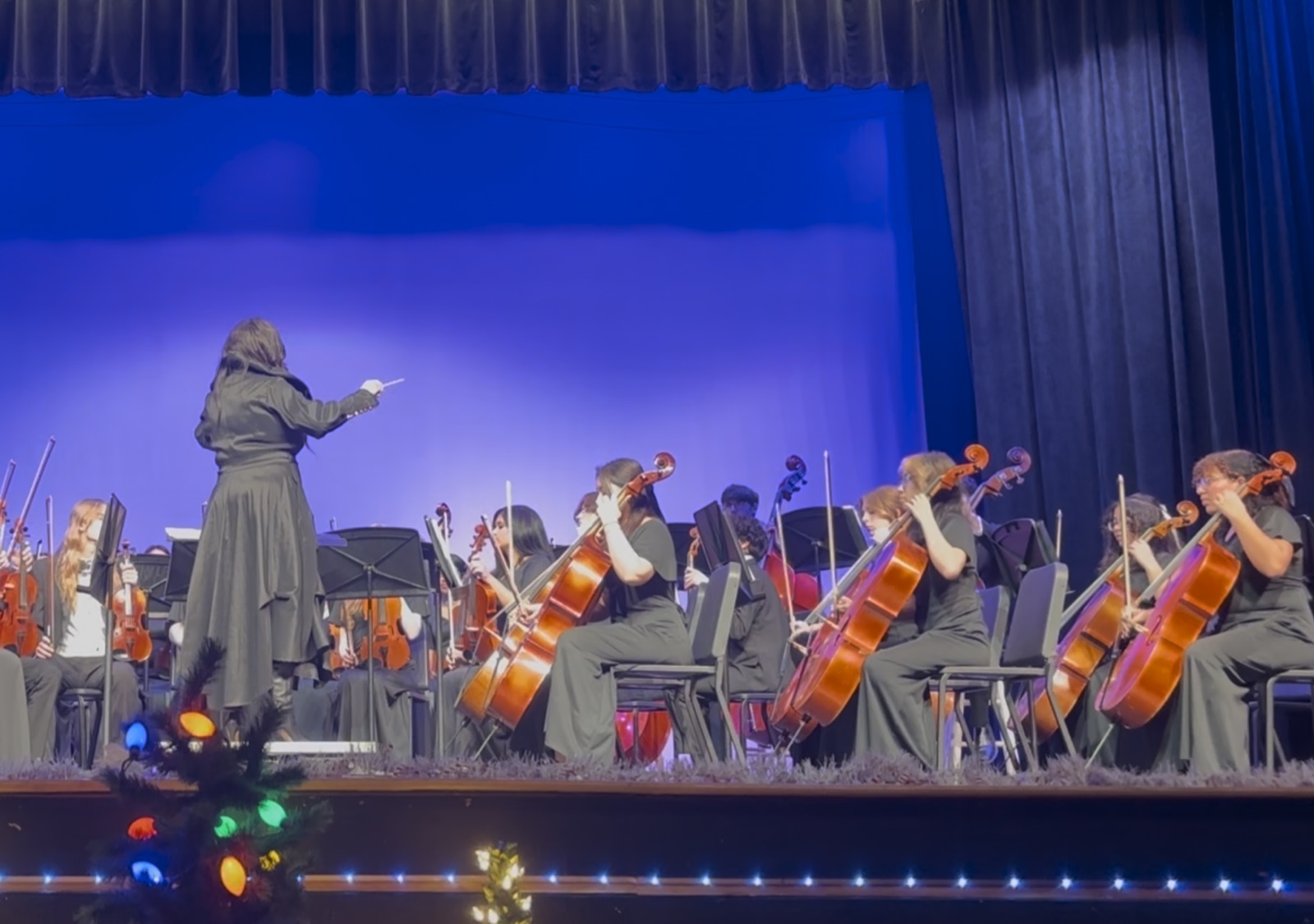 Philharmonic cello section at Winter Concert